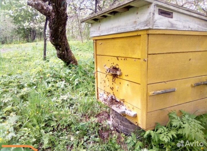 Продам ульи с наставками и прицеп для них