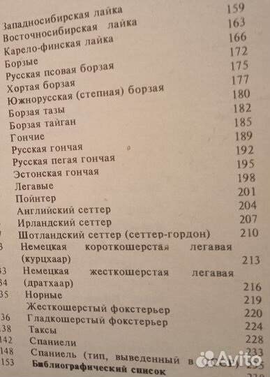 Охотничьи собаки