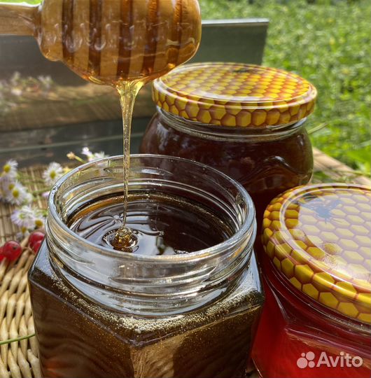 Мед гречишный свежий