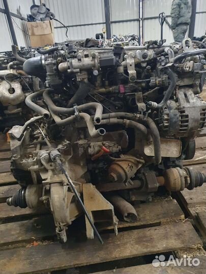 Двигатель Опель 1,9 cdti 04-10г Z19DT