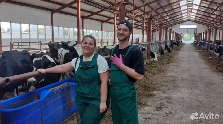 Разнорабочий Вахта питание + проживание