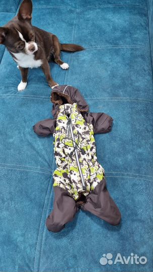 Комбинезон для собаки Dogmoda