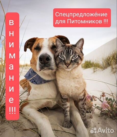 Для Питомников Корм для собак и кошек