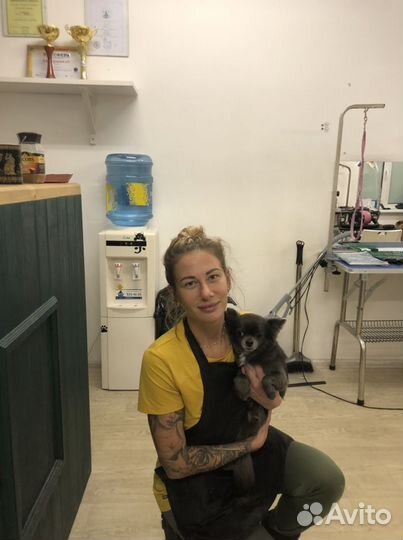 Грумер стрижка собак