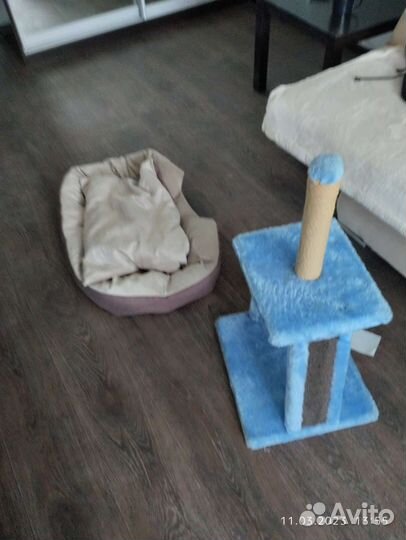 Когтеточка