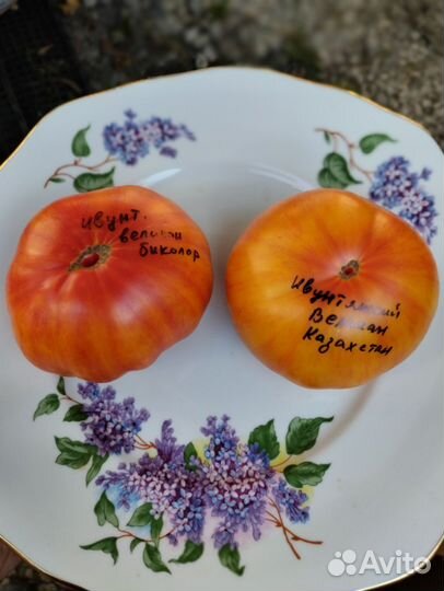 Семена томатов набор