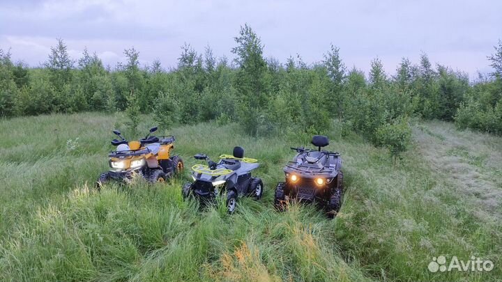 Прогулка на квадроцикле