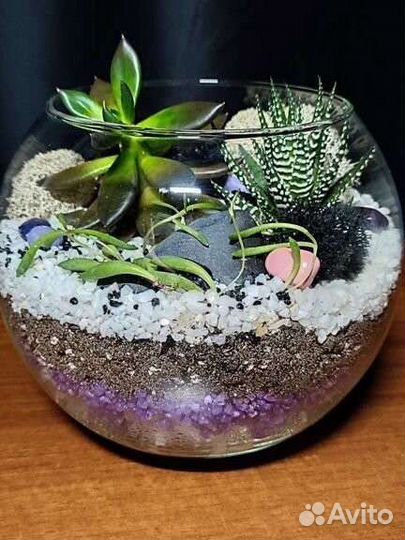 Флорариум, мини-сад