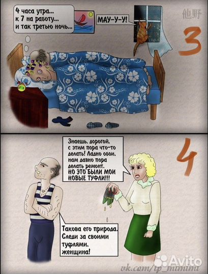 Кот Пират