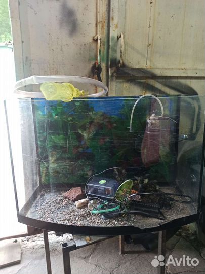 Аквариум