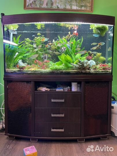Аквариум с тумбой 240 литров