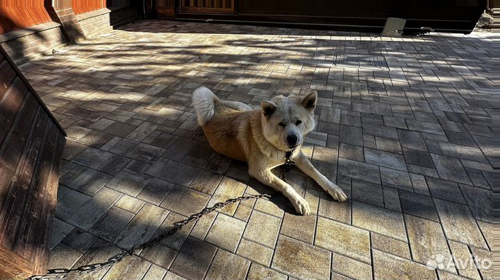 Тротуарная плитка Новый город от 120 м2