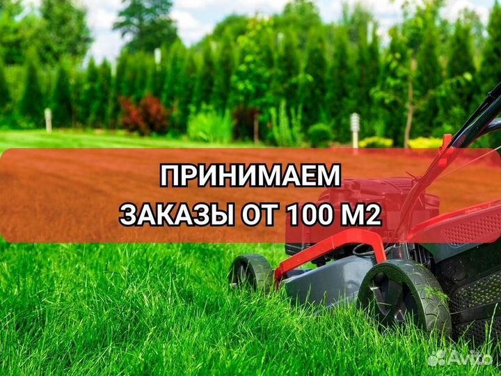 Укладка газона элитный