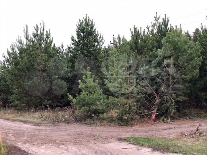 Участок 6,8 сот. (ИЖС)