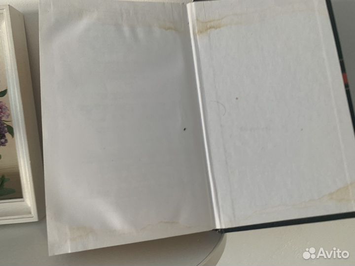 Книга Поющие в терновнике