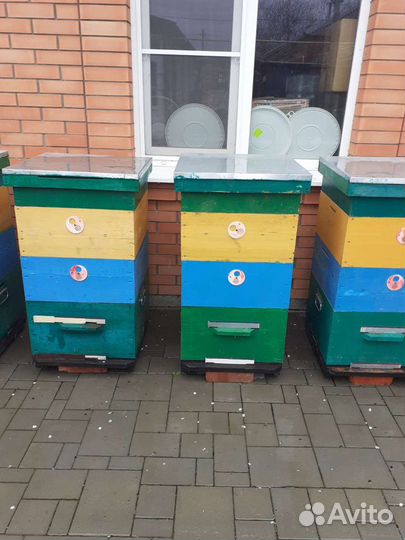 Улей для пчел