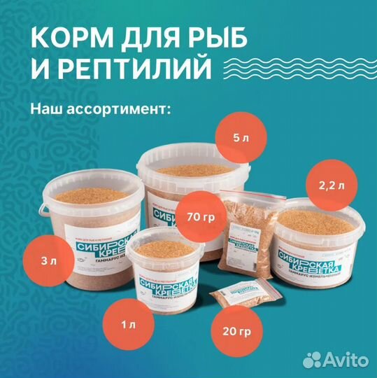 Гаммарус измельченный