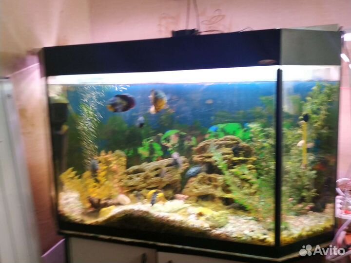 Готовый комплект