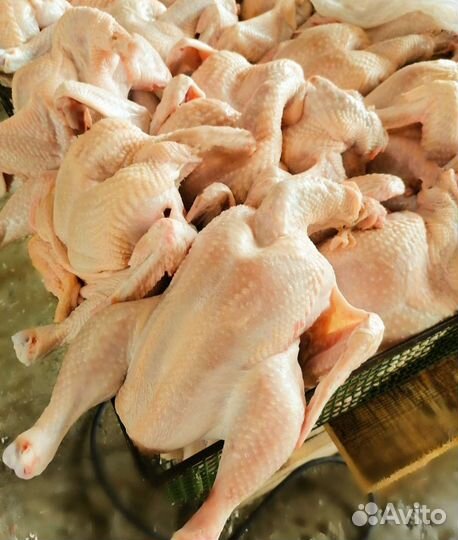 Фермерское мясо птицы, кур, цыплят - бройлеров