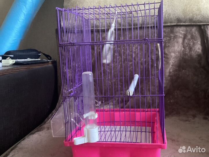 Клетка для попугая