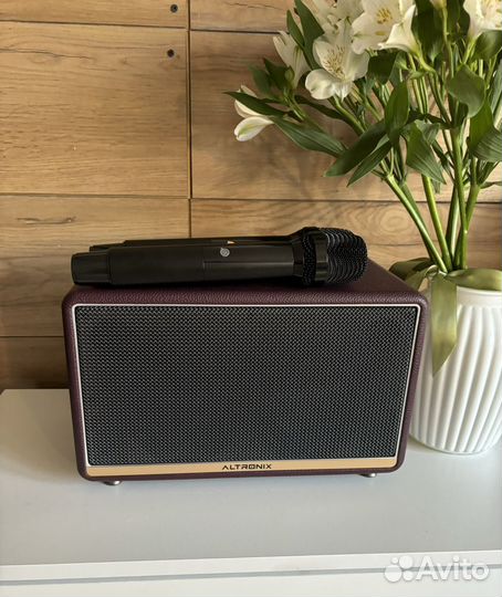 Аренда караоке колонки Singer 200(зал до 120кв.м)