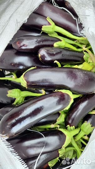 Овощи и фрукты