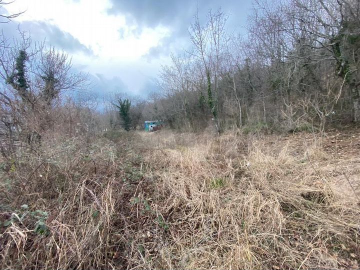 Участок 11 сот. (СНТ, ДНП)