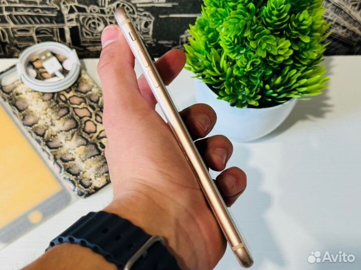 iPhone 8 Plus, 64 ГБ