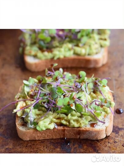 Микрозелень