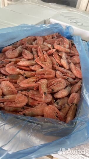 Креветка северная 90