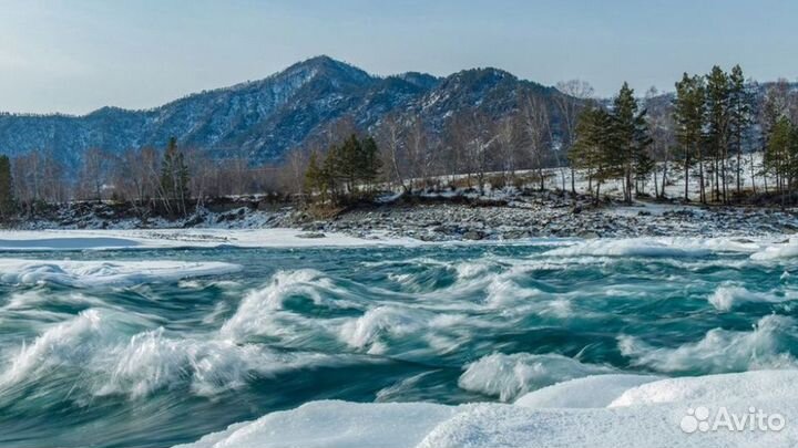 Новый год в Горном Алтае