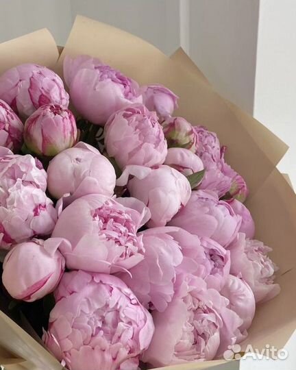 Пионы цветы крупные розовые премиум доставка