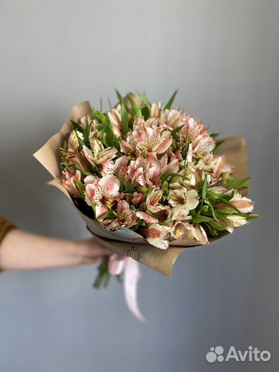 Альстромерия