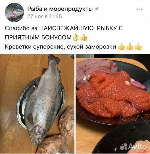 Свежая форель из Карелии
