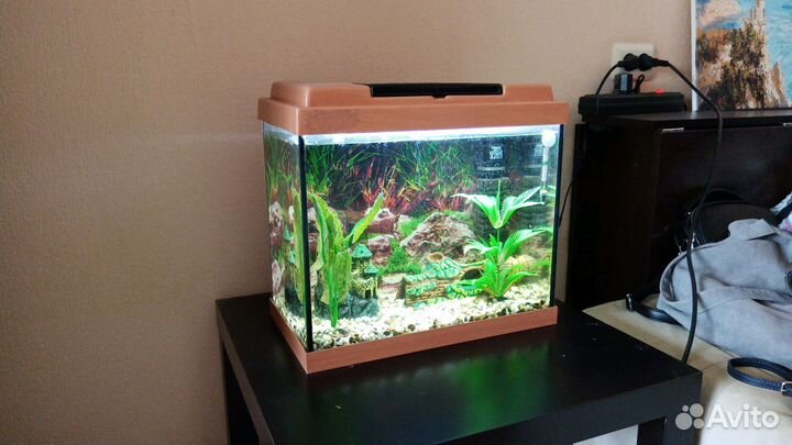 Аквариум