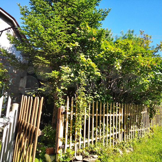 Дача 58,8 м² на участке 9,38 га