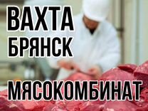 Рабочие вахтой Брянск/мясокомбинат