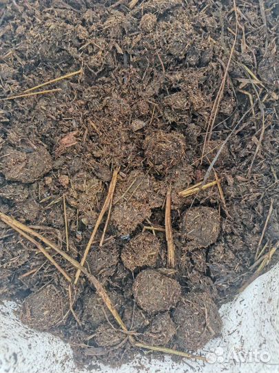 Навоз конский в мешках