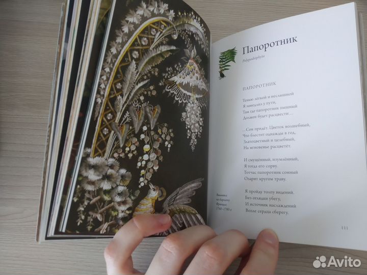 Книга Любовь к ботанике