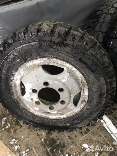 Резина на газ 53/3307/3309/паз