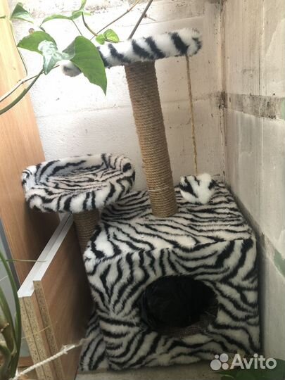 Домик для кошки