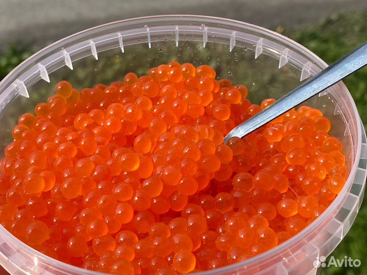 Красная икра с Камчатки 2023