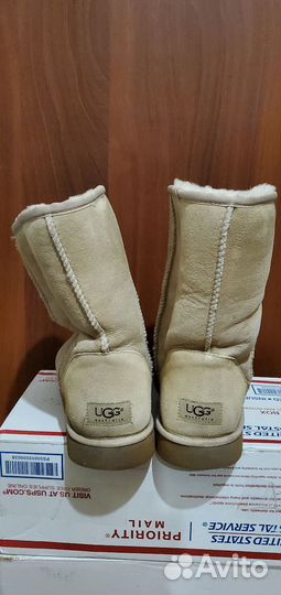 Ugg мужские 44