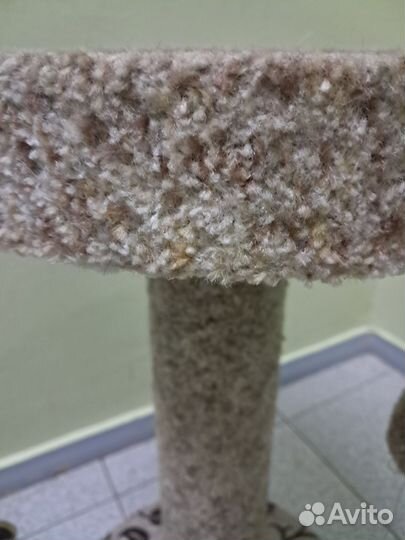 Когтеточка для кошек бу