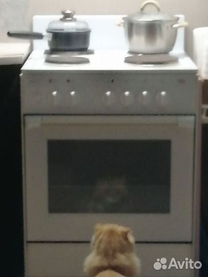 Электроплита зви