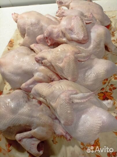 Мясо домашней птицы