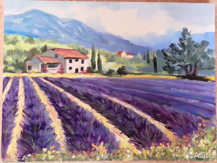 Картина масло прованс, глициния, Симеиз