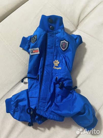 Одежда для собаки, дождевик