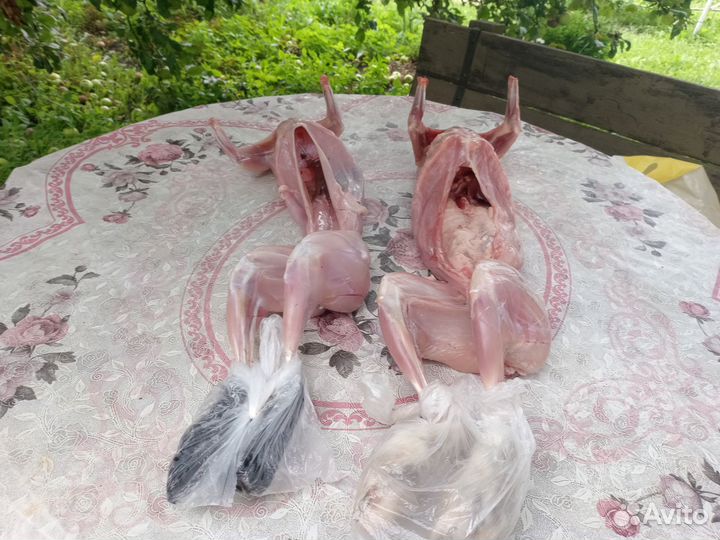 Мясо кроликов, уток, кур