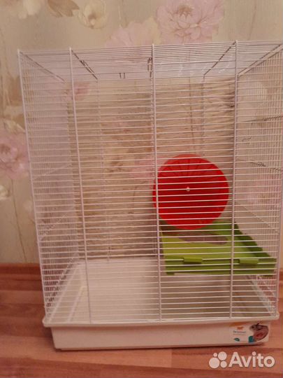Клетка, корм, песок для шиншиллы